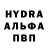 Amphetamine Premium Altyngul Baktybekova