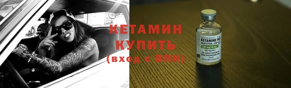гашик Алексин