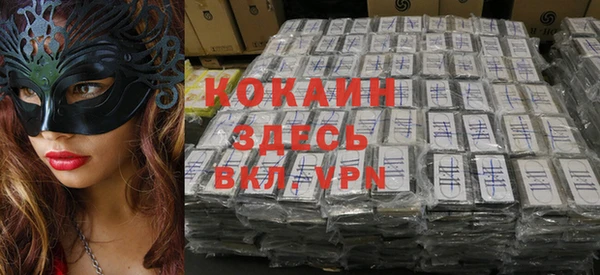 гашик Алексин