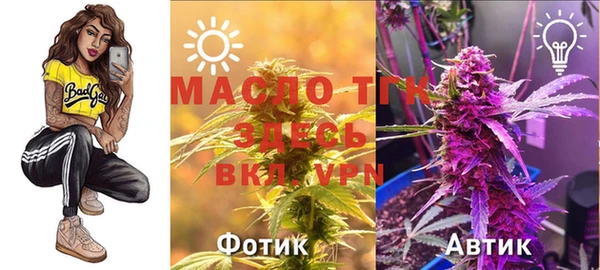 гашик Алексин
