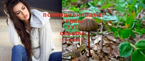 прущий лед Покровск