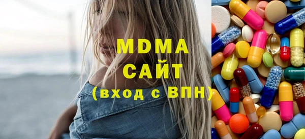 гашик Алексин