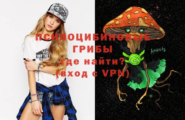 МДПВ Алексеевка